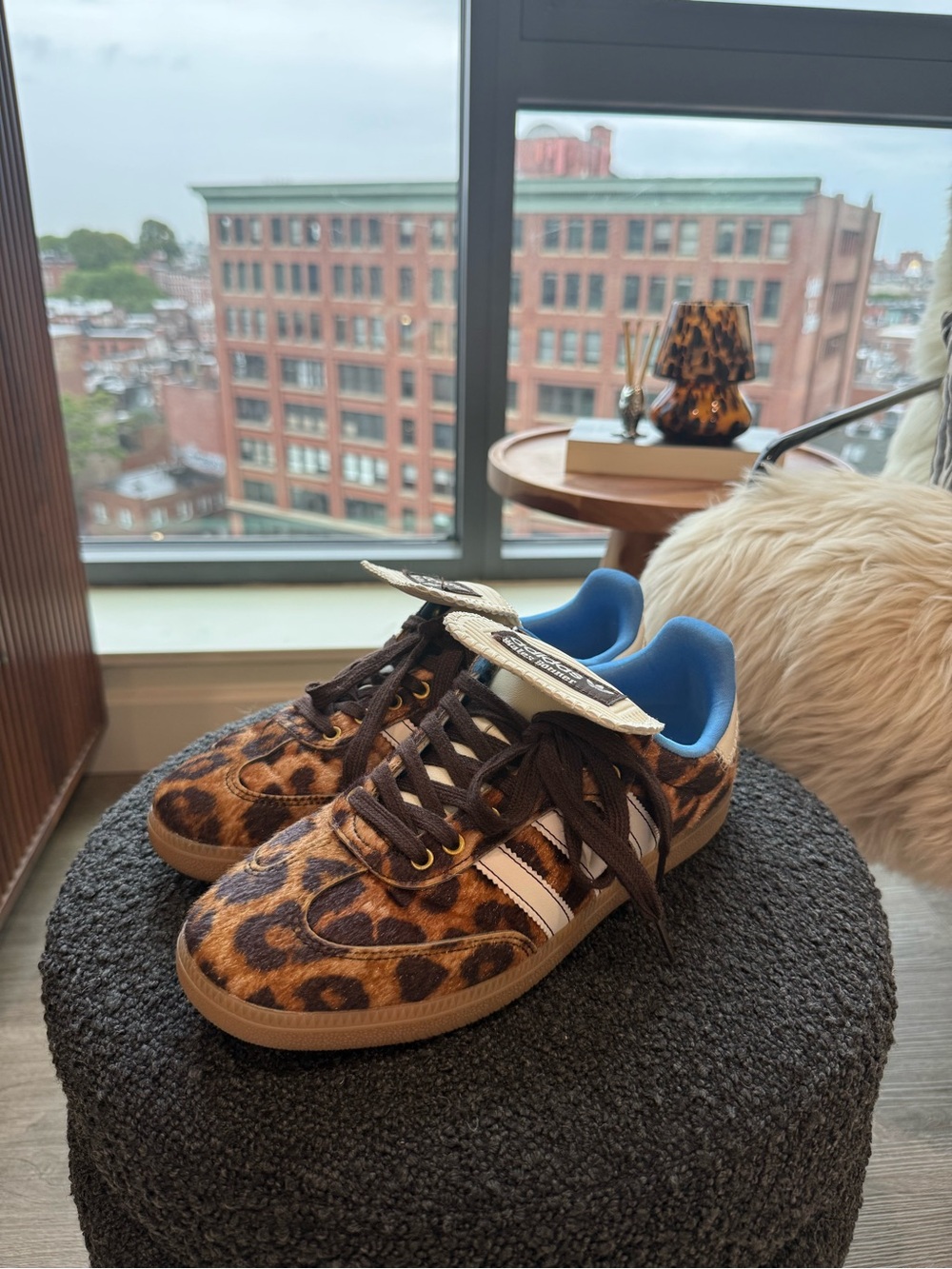 Women’s DHGate Adidas Wales Bonner Leopard Print Sneaker